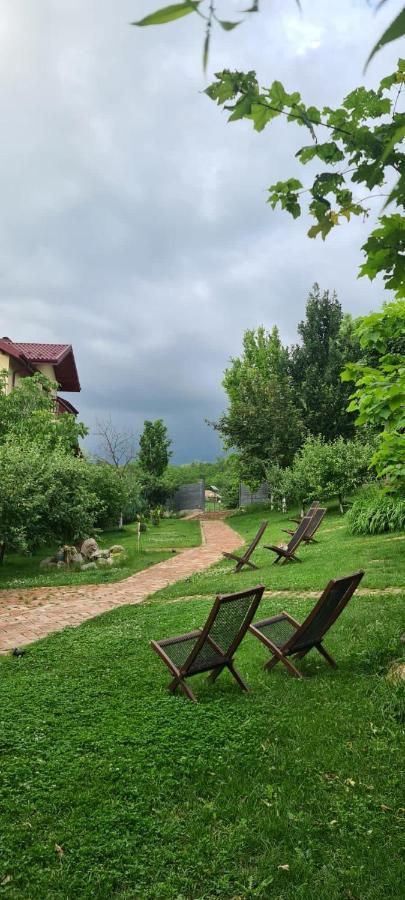 Enpi Lake Resort Iasi Exterior photo