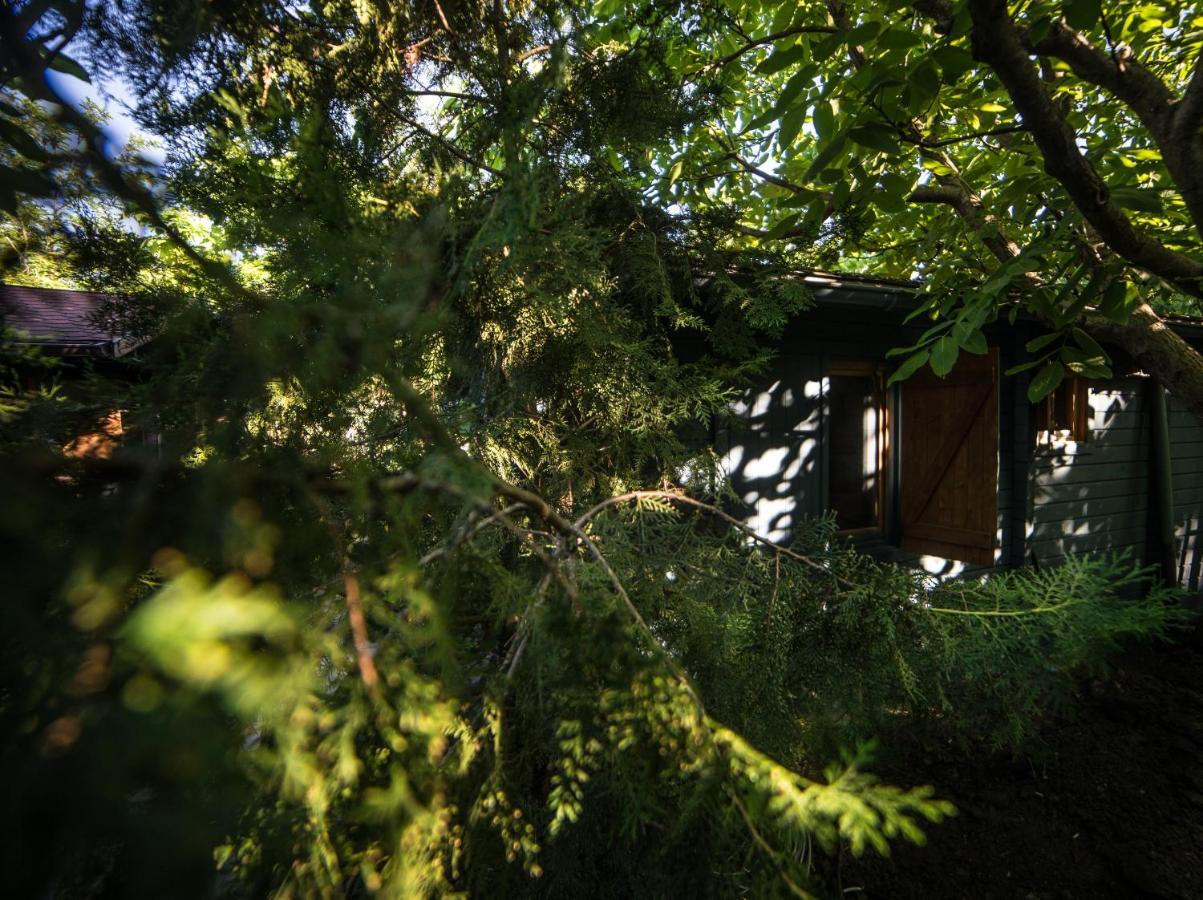 Enpi Lake Resort Iasi Exterior photo